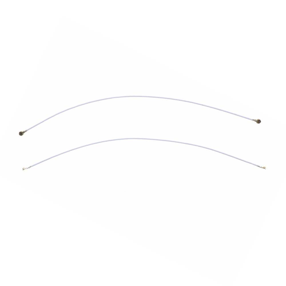 Câble antenne Samsung Galaxy Note 10 Lite (N770F) (113mm)