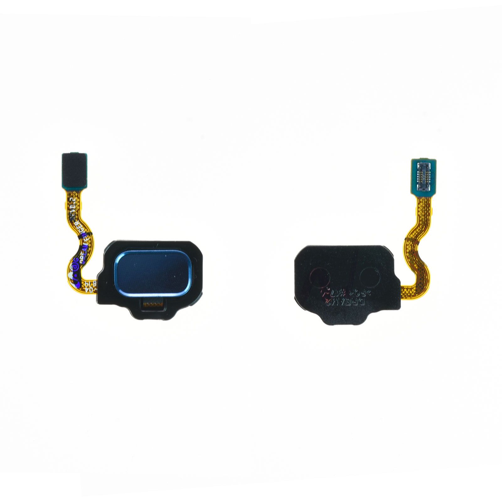 Nappe / Bouton Lecteur d'empreintes Samsung Galaxy S8 (G950F) / S8+ (G955F) Bleu